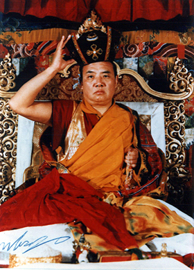 蓮生活佛盧勝彥的傳承上師－十六世大寶法王噶瑪巴